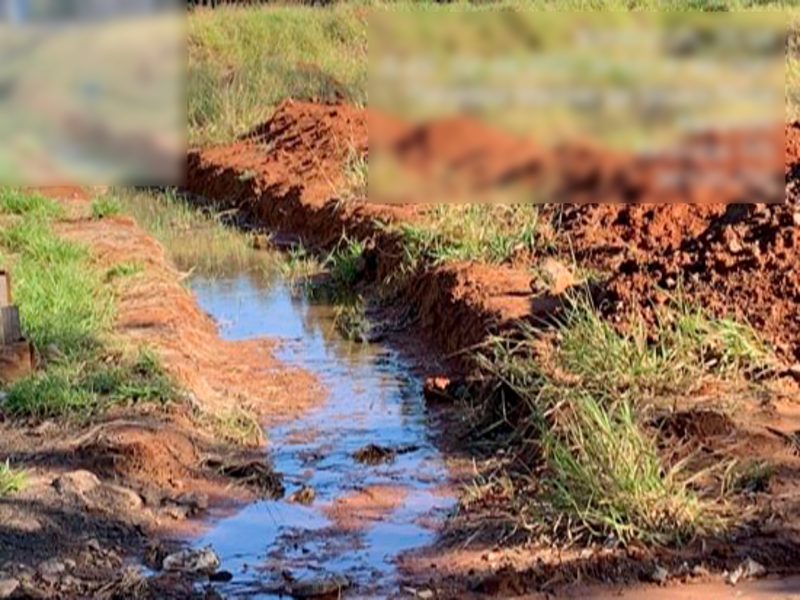 Terreno no Beija-Flor (foto 7 de 31)