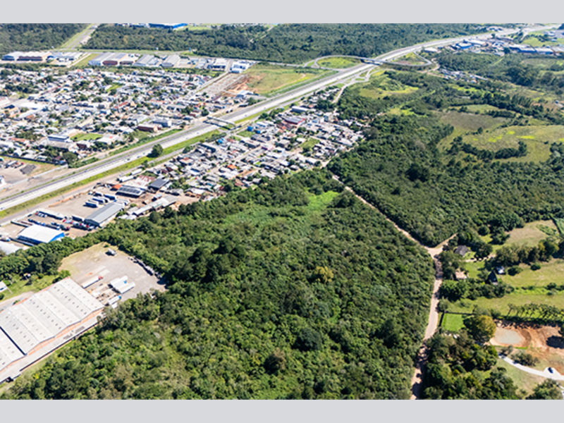 Terreno no Beija-Flor (foto 12 de 31)