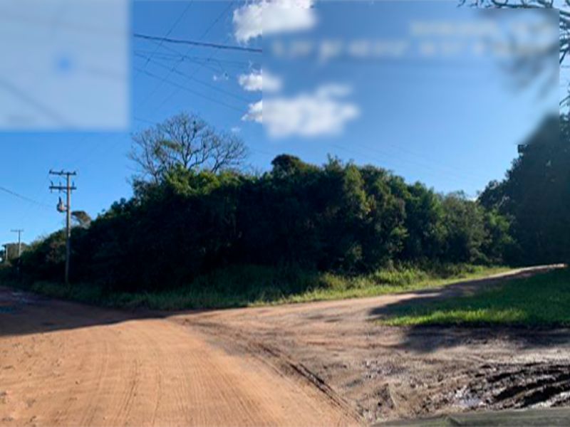 Terreno no Beija-Flor (foto 15 de 31)