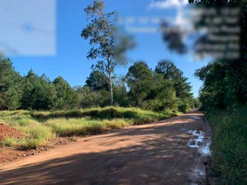 Terreno no Beija-Flor (foto 19 de 31)