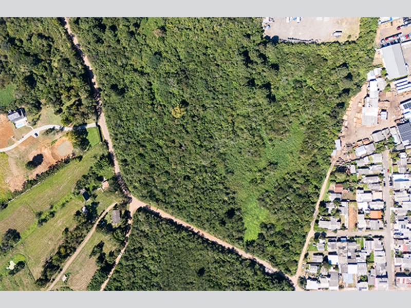 Terreno no Beija-Flor (foto 28 de 31)