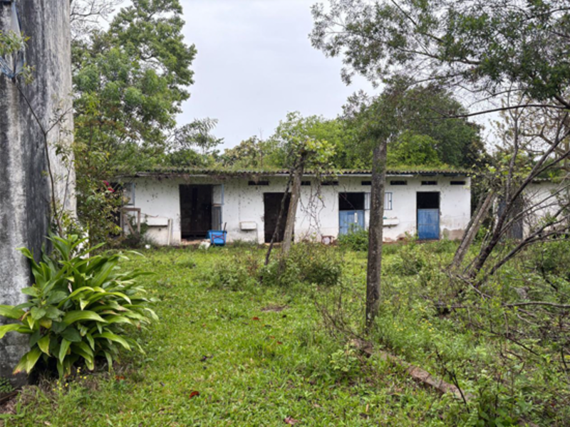Casa (foto 13 de 17)