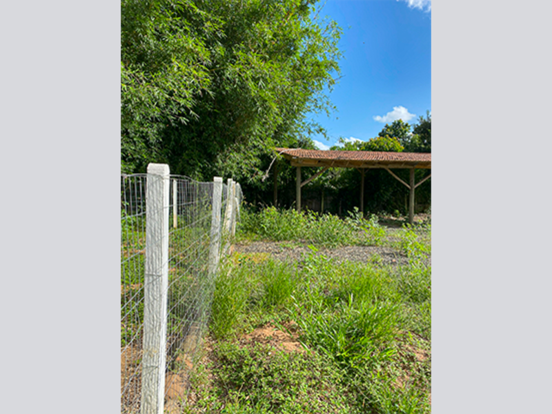 Casa no Loteamento Vila Esperança (foto 20 de 67)