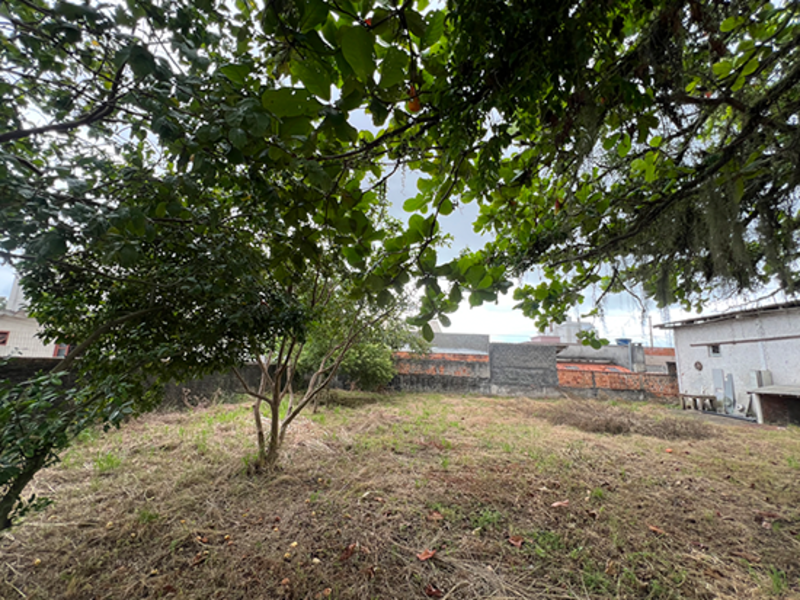 Imagem do imóvel Terreno - Tijucas - SC