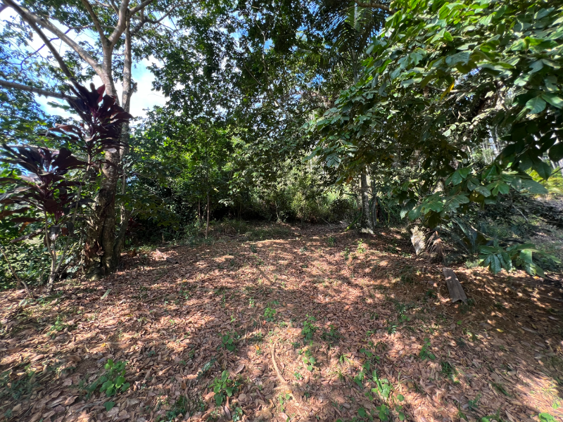 Terreno no Bairro Bateas (foto 2 de 3)