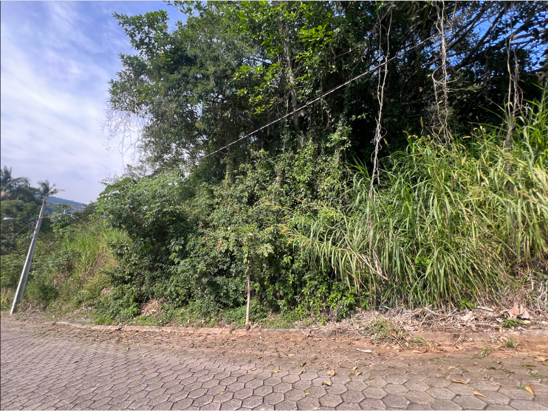 Imagem do imóvel Terreno - Blumenau - SC