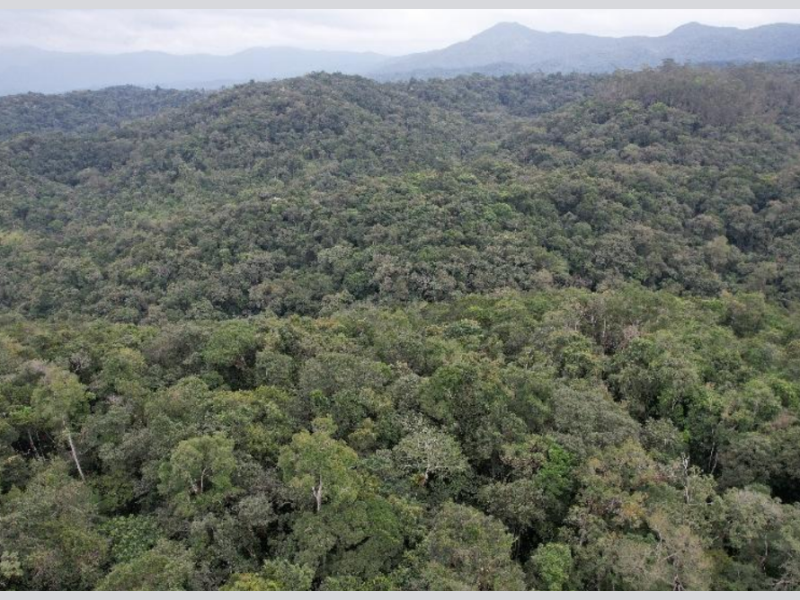 Imagem do imóvel Terreno - Brusque - SC