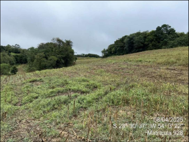 Terreno (foto 4 de 63)