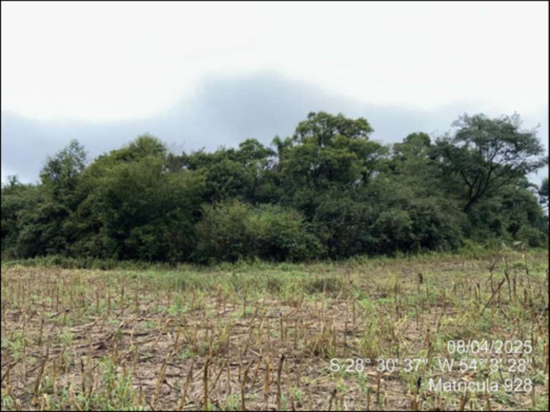 Terreno (foto 10 de 63)