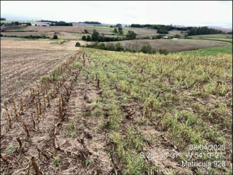 Terreno (foto 18 de 63)