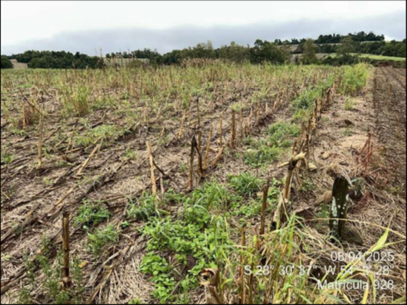 Terreno (foto 24 de 63)