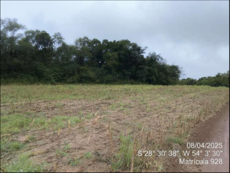 Terreno (foto 33 de 63)