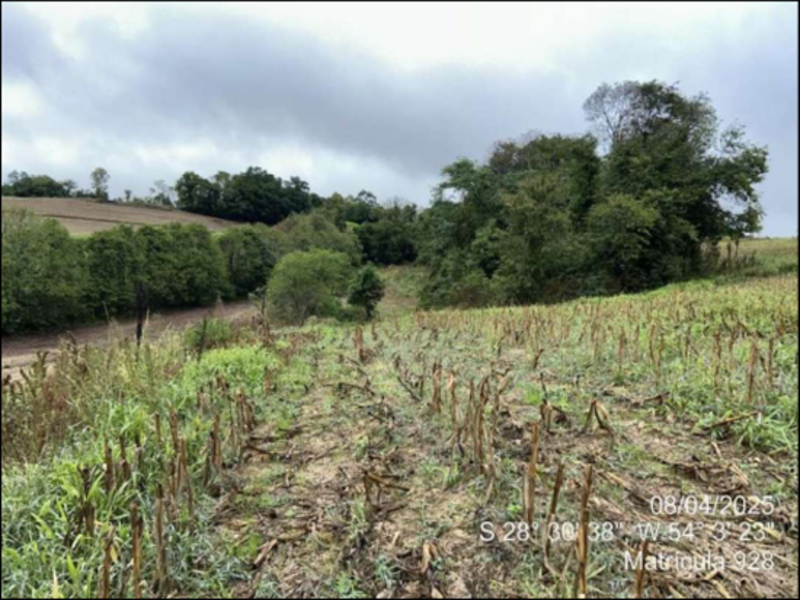 Terreno (foto 43 de 63)