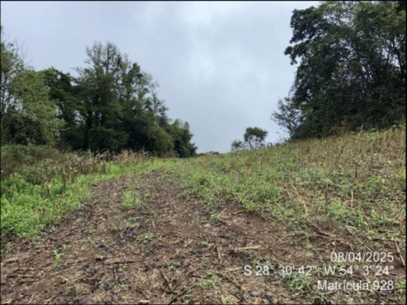 Terreno (foto 44 de 63)
