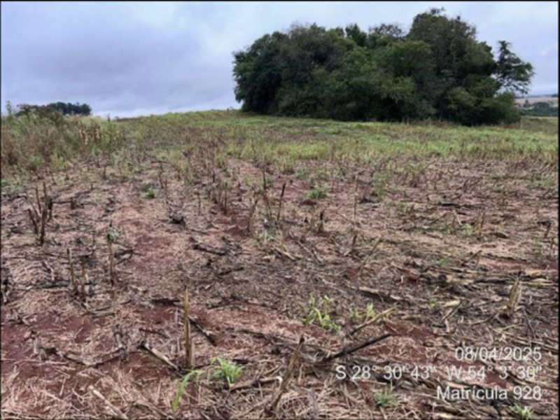 Terreno (foto 42 de 63)