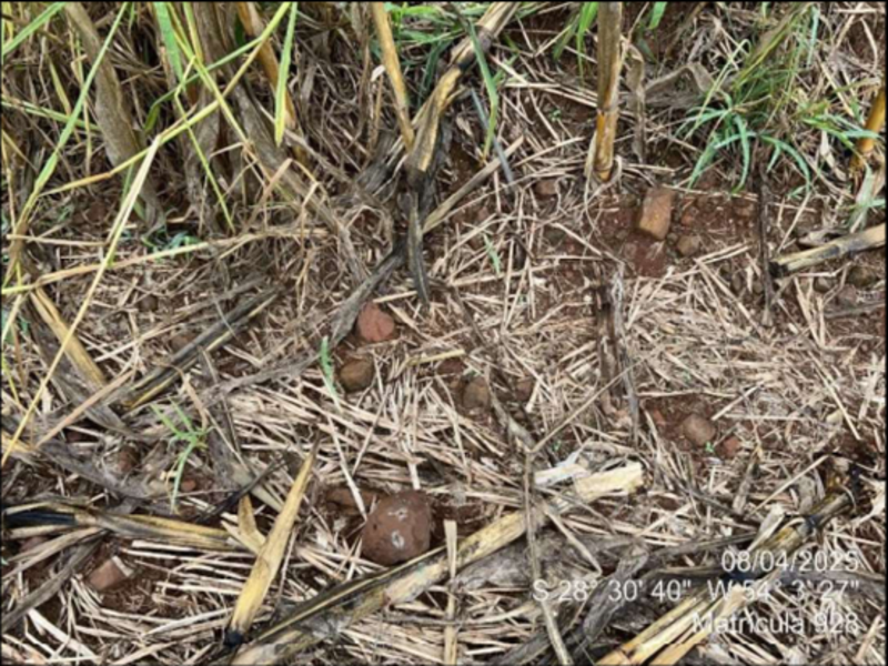 Terreno (foto 45 de 63)