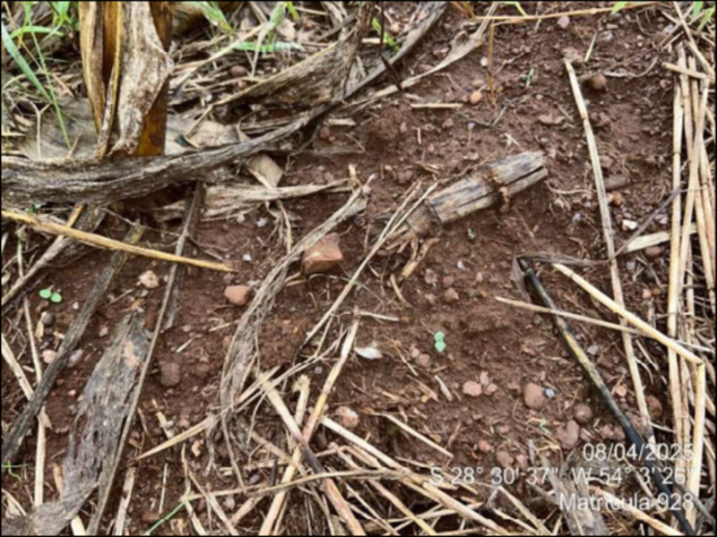 Terreno (foto 40 de 63)