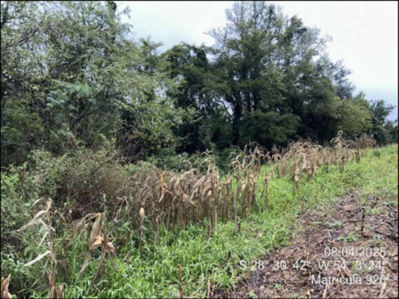 Terreno (foto 47 de 63)