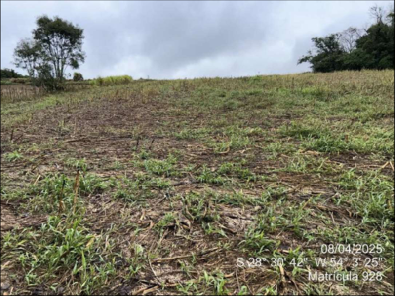Terreno (foto 48 de 63)