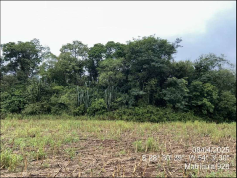 Terreno (foto 53 de 63)