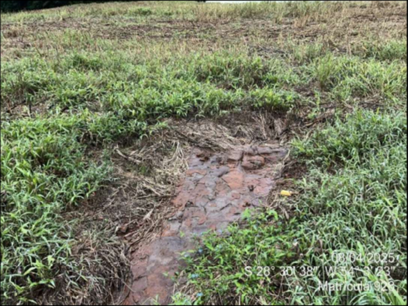 Terreno (foto 56 de 63)