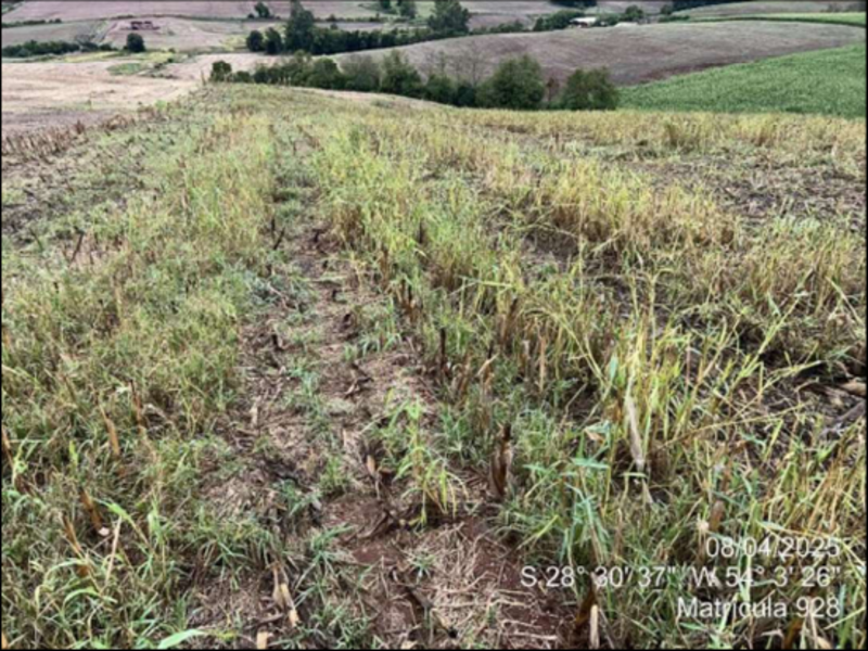 Terreno (foto 58 de 63)