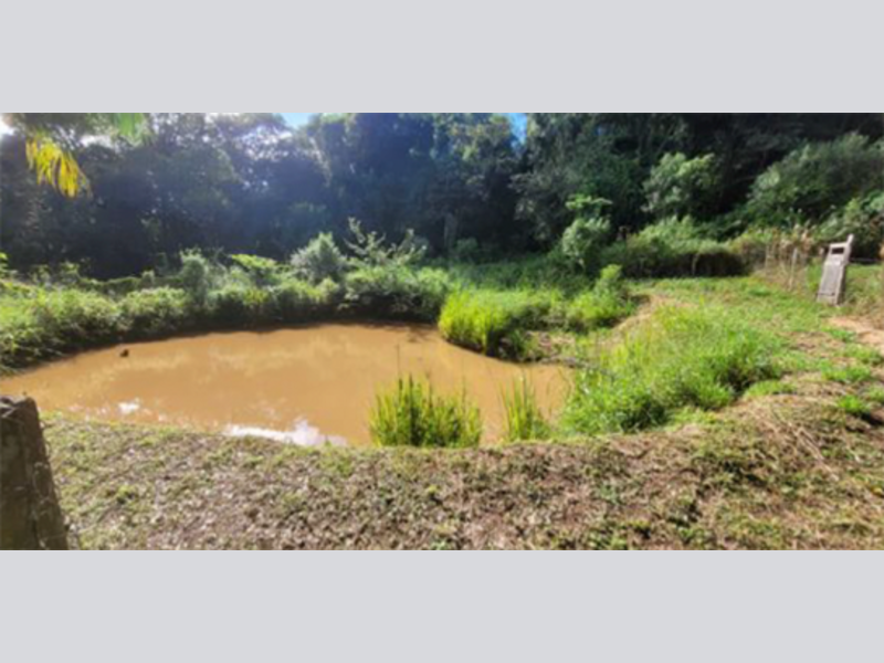 Terreno (foto 6 de 6)