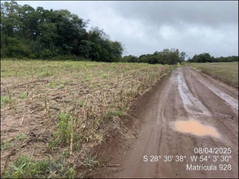 Terreno (foto 63 de 63)