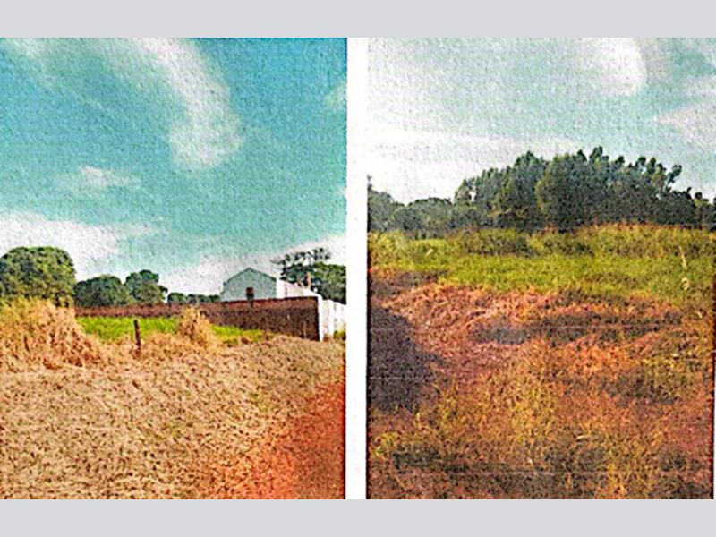 Imagem do imóvel Terreno - Passos - MG