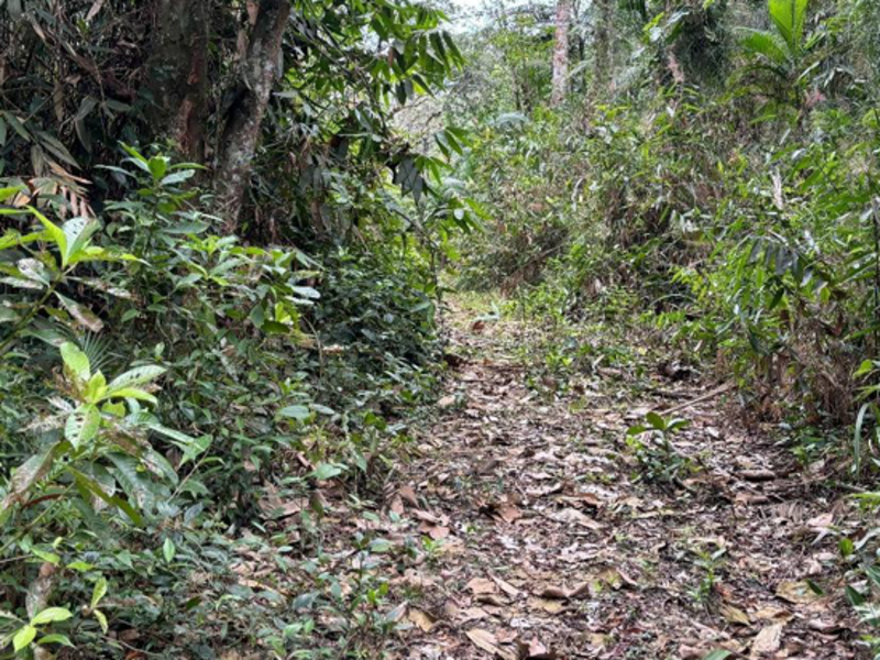 Terreno no São Pedro (foto 4 de 8)