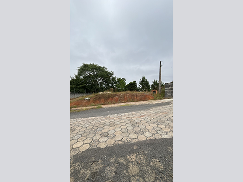 Terreno no Seminário (foto 5 de 5)