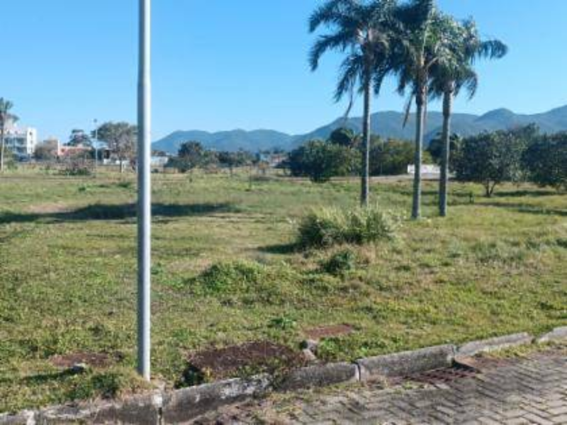 Terreno no Pantano Do Sul (foto 9 de 18)
