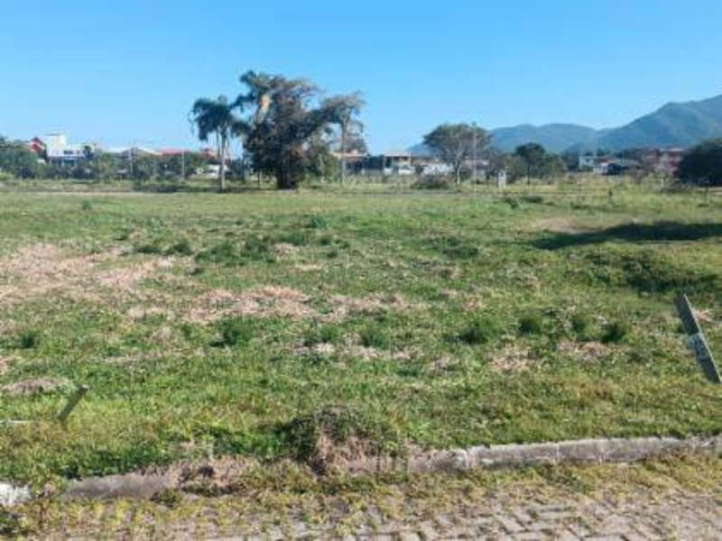 Terreno no Pantano Do Sul (foto 8 de 18)