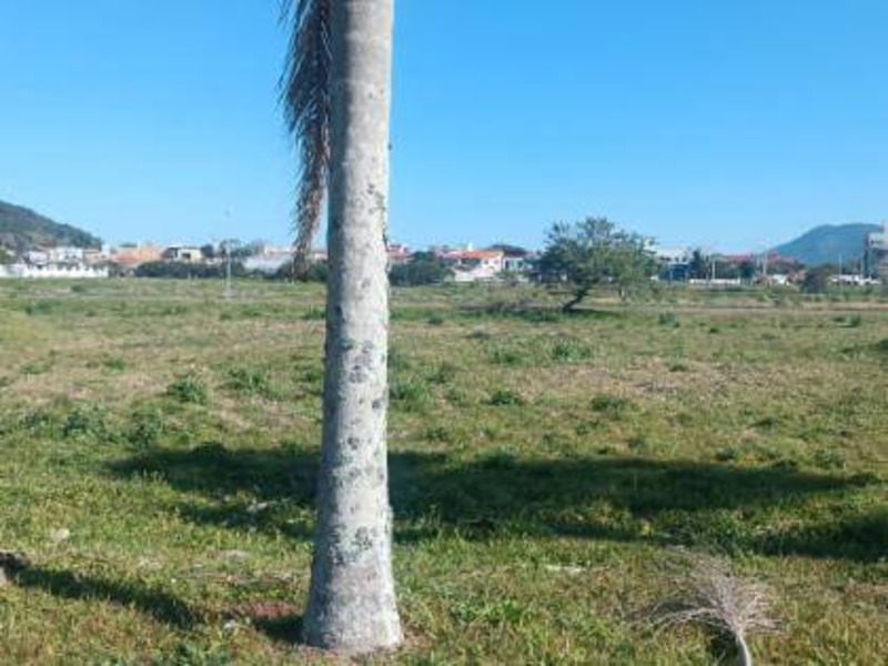 Terreno no Pantano Do Sul (foto 10 de 18)