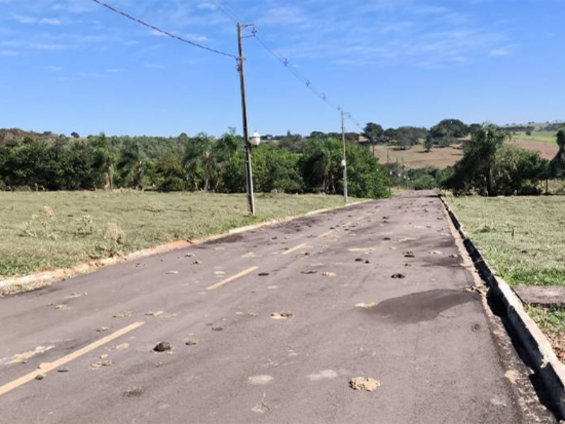 Terreno no Perola (foto 7 de 23)