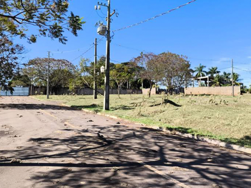 Terreno no Perola (foto 8 de 23)