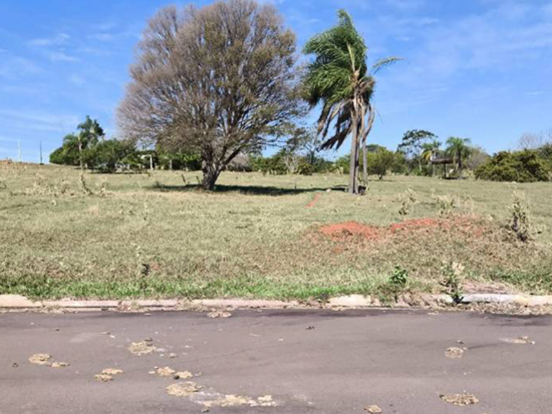 Terreno no Perola (foto 9 de 23)