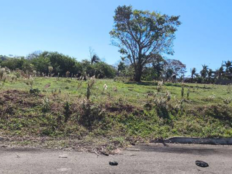 Terreno no Perola (foto 6 de 23)