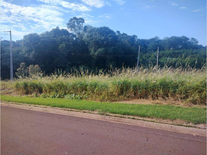 Terreno no Centro (foto 5 de 7)