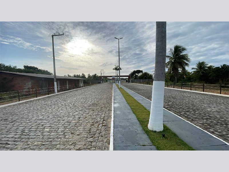 Terreno no Centro (foto 8 de 14)