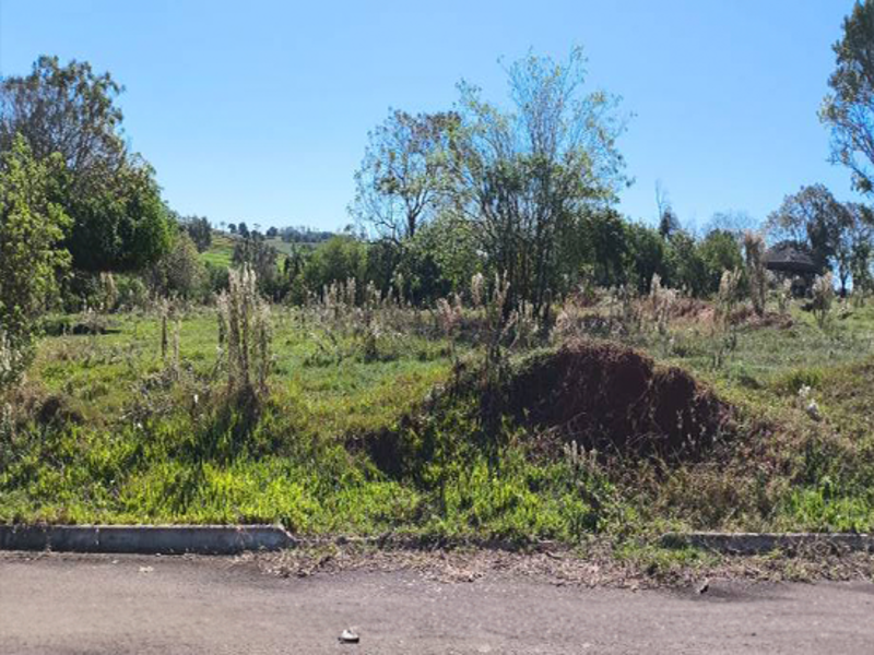 Terreno no Perola (foto 5 de 22)
