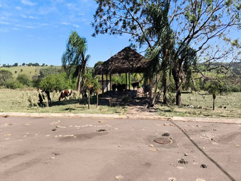 Terreno no Perola (foto 4 de 22)