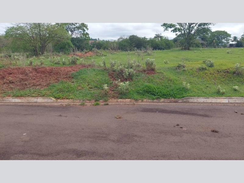 Terreno no Perola (foto 21 de 22)