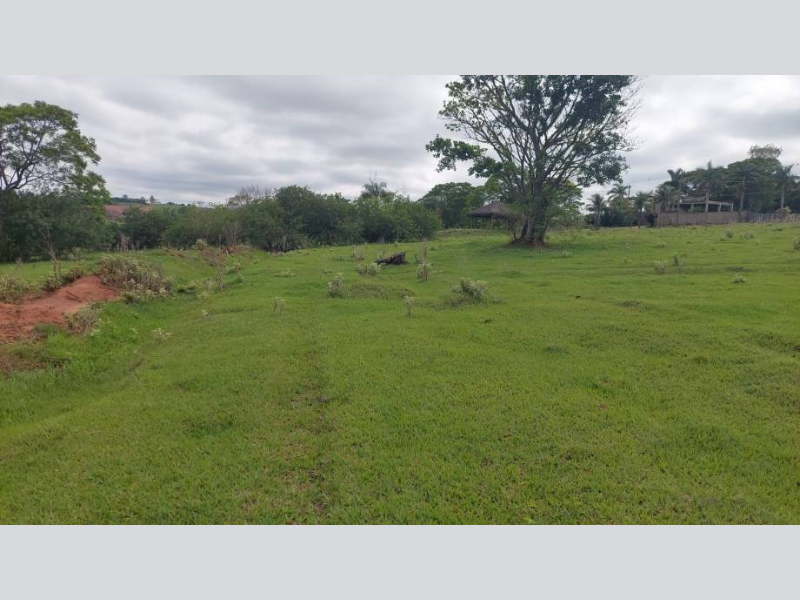 Terreno no Perola (foto 20 de 22)