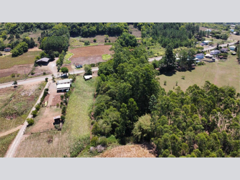 Terreno no Jacarezinho (foto 12 de 18)