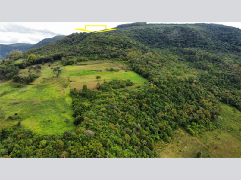 Terreno no Jacarezinho (foto 10 de 18)