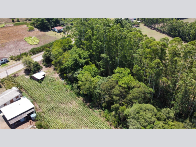 Terreno no Jacarezinho (foto 17 de 18)