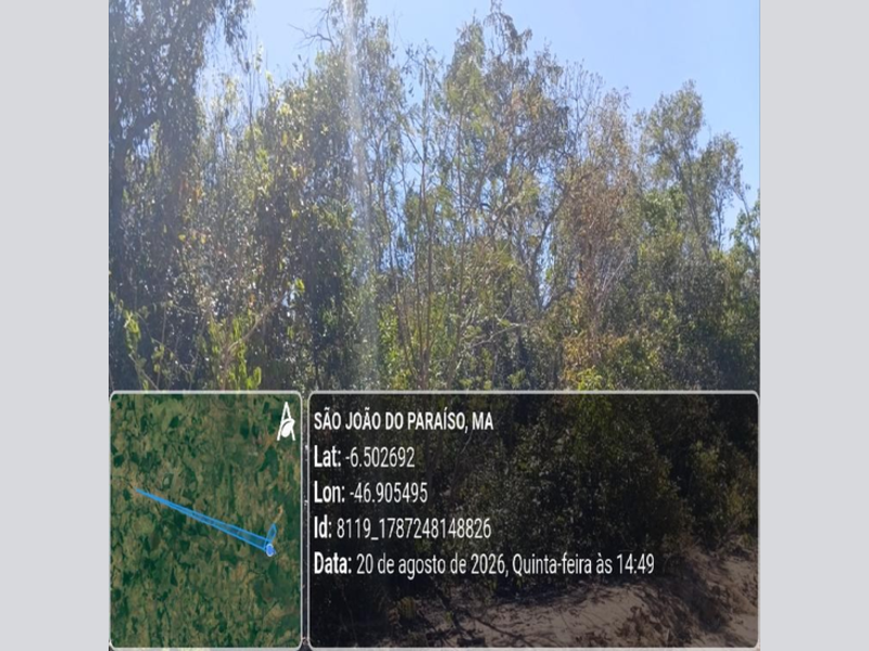 Terreno (foto 21 de 31)