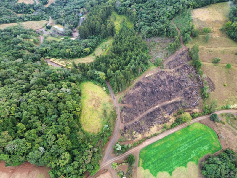 Terreno (foto 2 de 26)