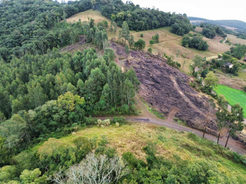 Terreno (foto 3 de 26)